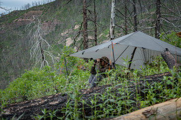DST Tarp (SilPoly)