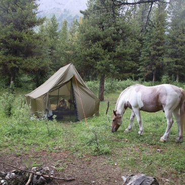 Courthouse wall tent. Ultralight wall tent. 